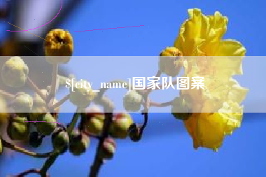 黔西国家队图案