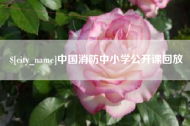 黔西中国消防中小学公开课回放