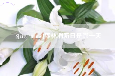 黔西森林消防日是哪一天