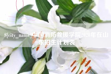 黔西中国消防救援学院2020年在山东招生计划表