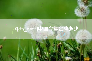 黔西中国今年金牌多少