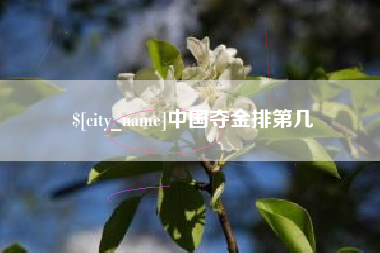 黔西中国夺金排第几