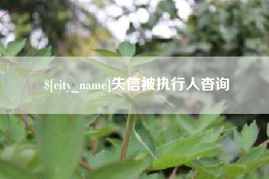黔西失信被执行人杳询