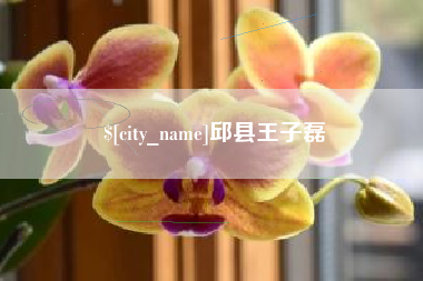 黔西邱县王子磊