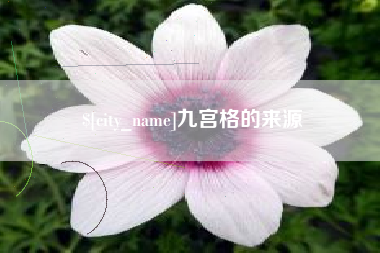 黔西九宫格的来源