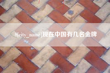 黔西现在中国有几名金牌