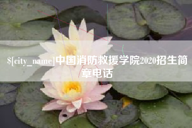 黔西中国消防救援学院2020招生简章电话