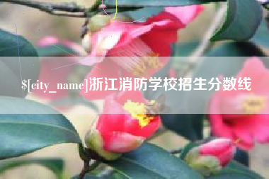 黔西浙江消防学校招生分数线