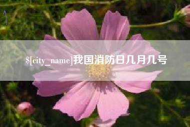 黔西我国消防日几月几号
