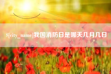 黔西我国消防日是哪天几月几日