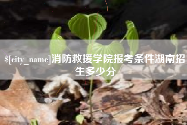 黔西消防救援学院报考条件湖南招生多少分