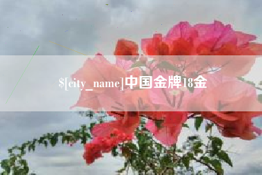 黔西中国金牌18金