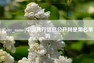 黔西中国执行信息公开网是黑名单吗