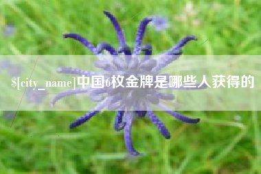 黔西中国6枚金牌是哪些人获得的