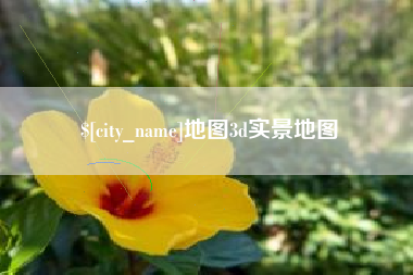 黔西地图3d实景地图