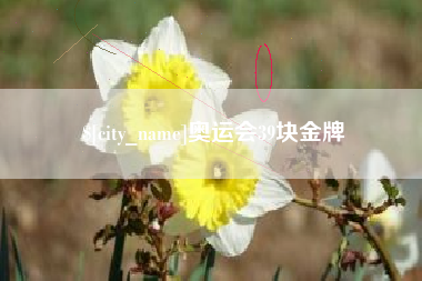 黔西奥运会39块金牌