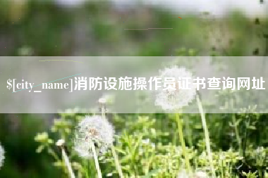 黔西消防设施操作员证书查询网址