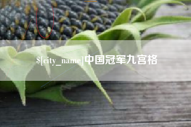 黔西中国冠军九宫格