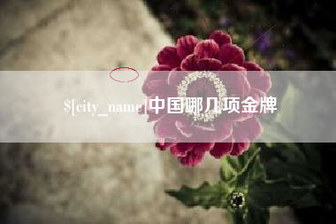 黔西中国哪几项金牌