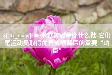 黔西5000米世界冠军穿什么鞋-它们是运动员取得优异成绩背后的重要“功臣”