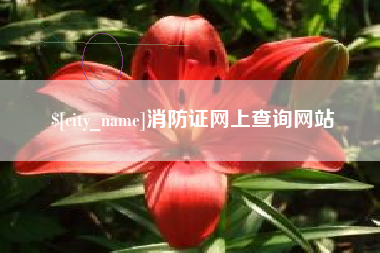 黔西消防证网上查询网站