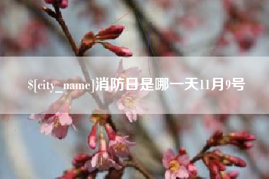 黔西消防日是哪一天11月9号