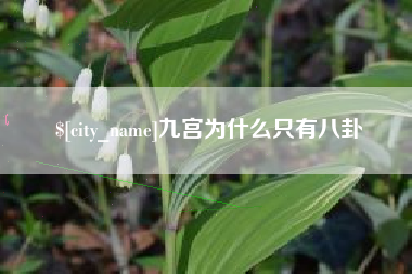 黔西九宫为什么只有八卦