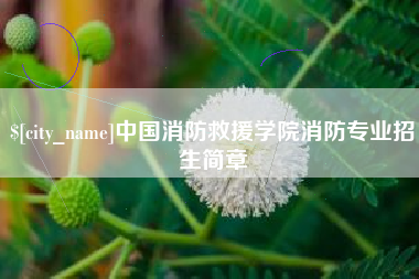 黔西中国消防救援学院消防专业招生简章