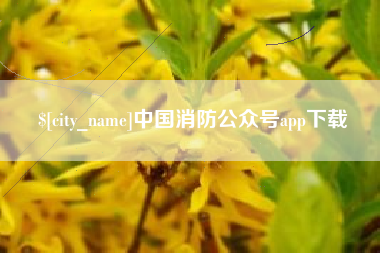 黔西中国消防公众号app下载