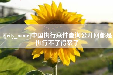 黔西中国执行案件查询公开网都是执行不了得案子