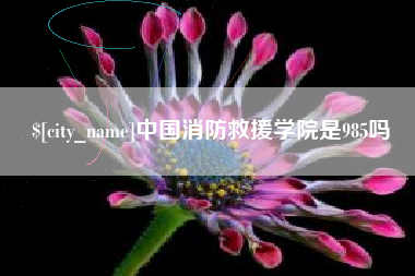 黔西中国消防救援学院是985吗