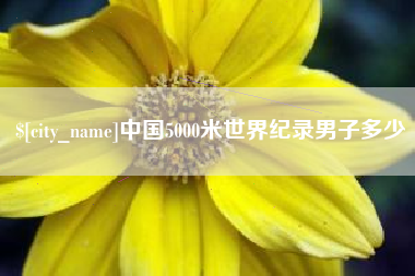 黔西中国5000米世界纪录男子多少