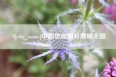黔西中国地图图片清晰全图