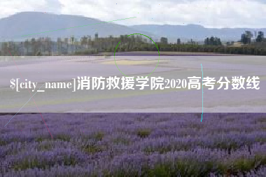 黔西消防救援学院2020高考分数线