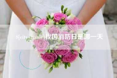 黔西我国消防日是哪一天