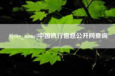 黔西中国执行信息公开网查询