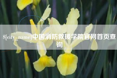 黔西中国消防救援学院官网首页查询