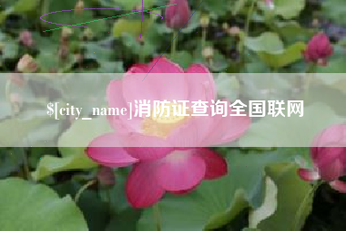 黔西消防证查询全国联网