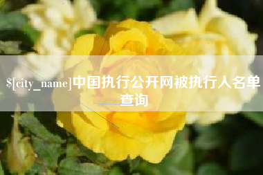 黔西中国执行公开网被执行人名单查询