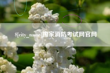 黔西国家消防考试网官网