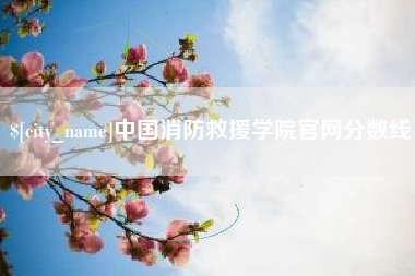 黔西中国消防救援学院官网分数线