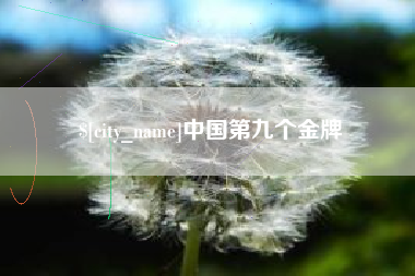 黔西中国第九个金牌