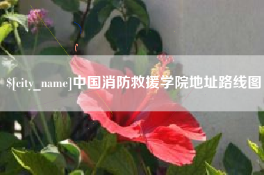 黔西中国消防救援学院地址路线图
