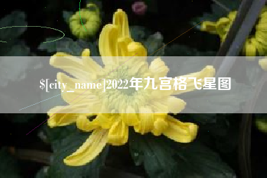 黔西2022年九宫格飞星图