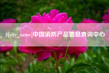 黔西中国消防产品信息查询中心