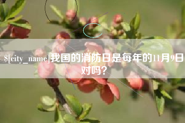 黔西我国的消防日是每年的11月9日对吗？