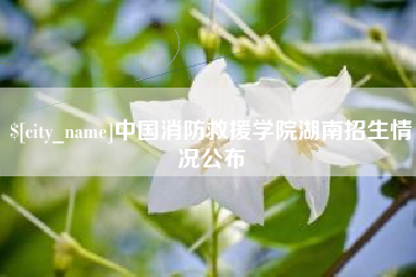 黔西中国消防救援学院湖南招生情况公布