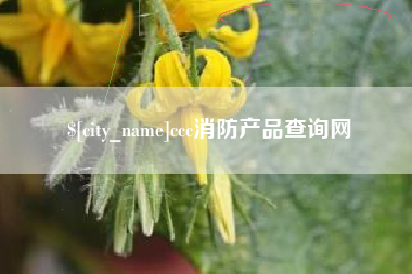 黔西ccc消防产品查询网