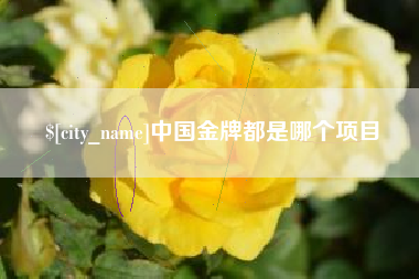 黔西中国金牌都是哪个项目