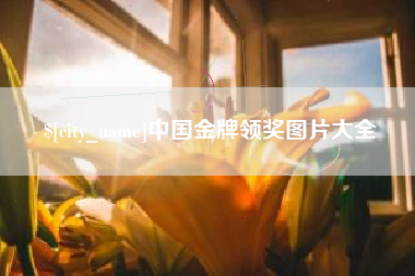 黔西中国金牌领奖图片大全